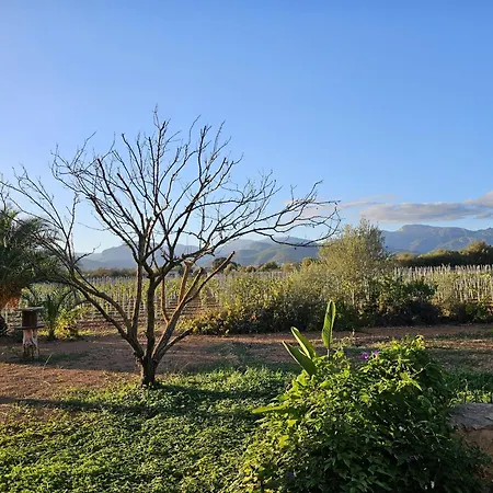 La Preciosa Binissalem